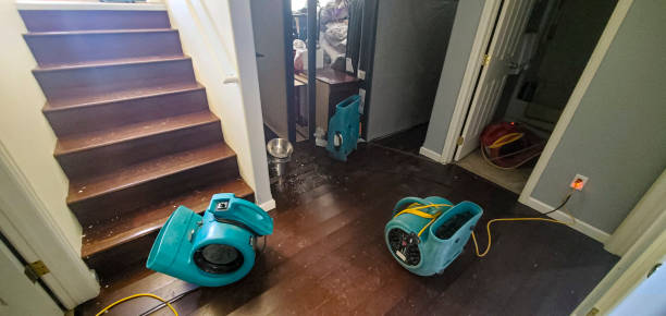 Best Residential water damage restoration  in Stedman, NC