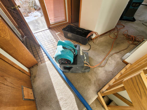 Best Water damage restoration near me  in Stedman, NC