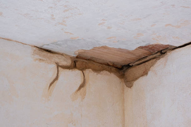 Best Water damage restoration near me  in Stedman, NC