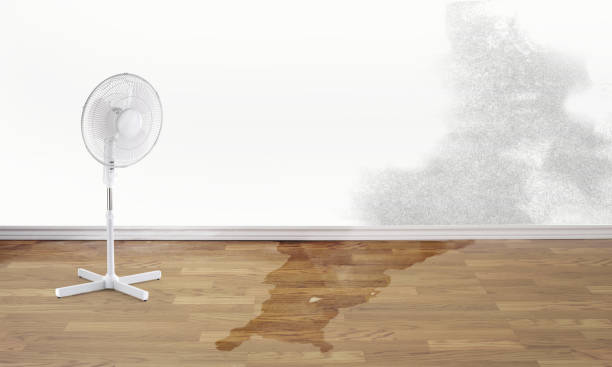 Best Commercial water damage restoration  in Stedman, NC
