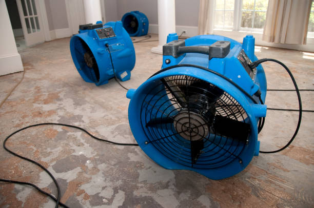 Water damage restoration experts in Stedman, NC