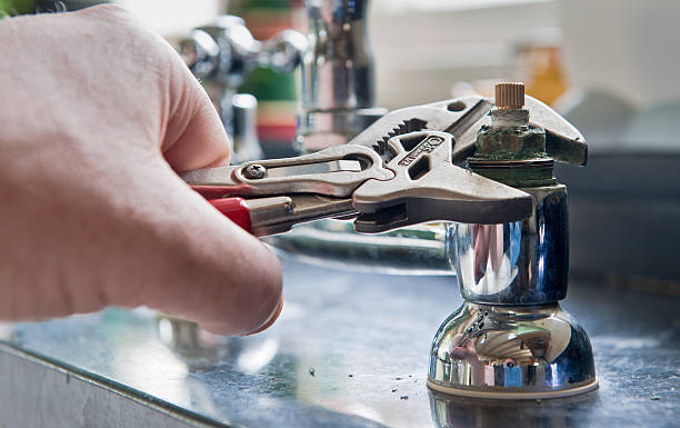 Best Water damage restoration process  in Stedman, NC