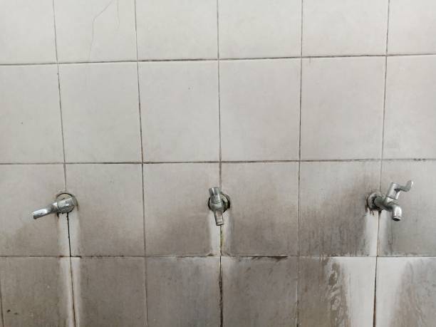 Best 24/7 water damage repair  in Stedman, NC