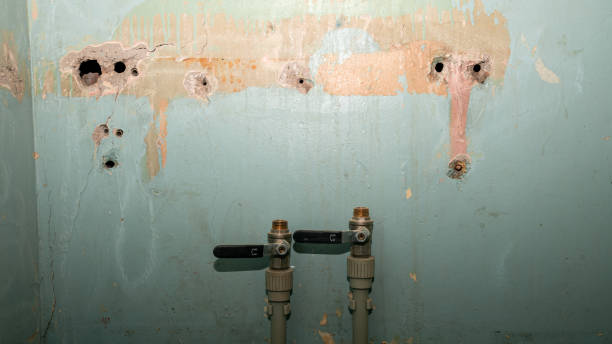 Best 24-hour water damage restoration  in Stedman, NC