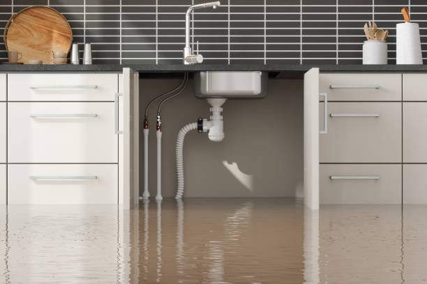 Best Flooded house restoration  in Stedman, NC