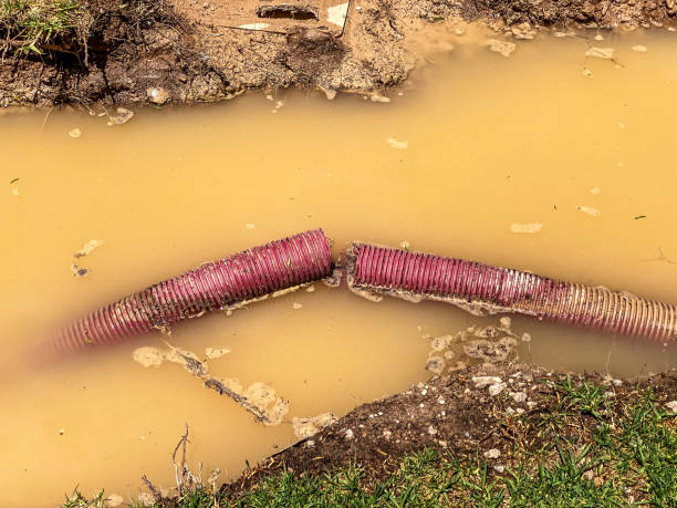 Best Local water damage restoration  in Stedman, NC