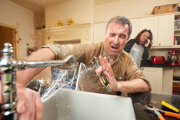 Best Flooded house restoration  in Stedman, NC